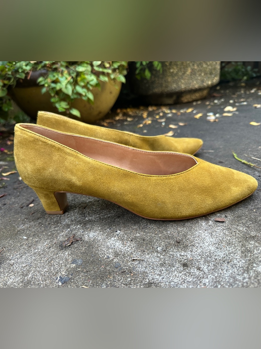 Women’s Madewell Etta Suede Low Block Heel Pump in Spiced Olive, size 11